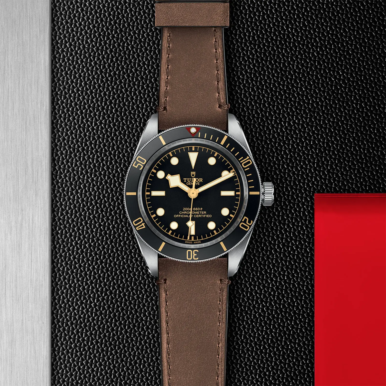 TUDORBlack Bay 58Black Bay 5839mm steel case with polished and satin finish - M79030N-0002 at Cortina Watch Thailand
