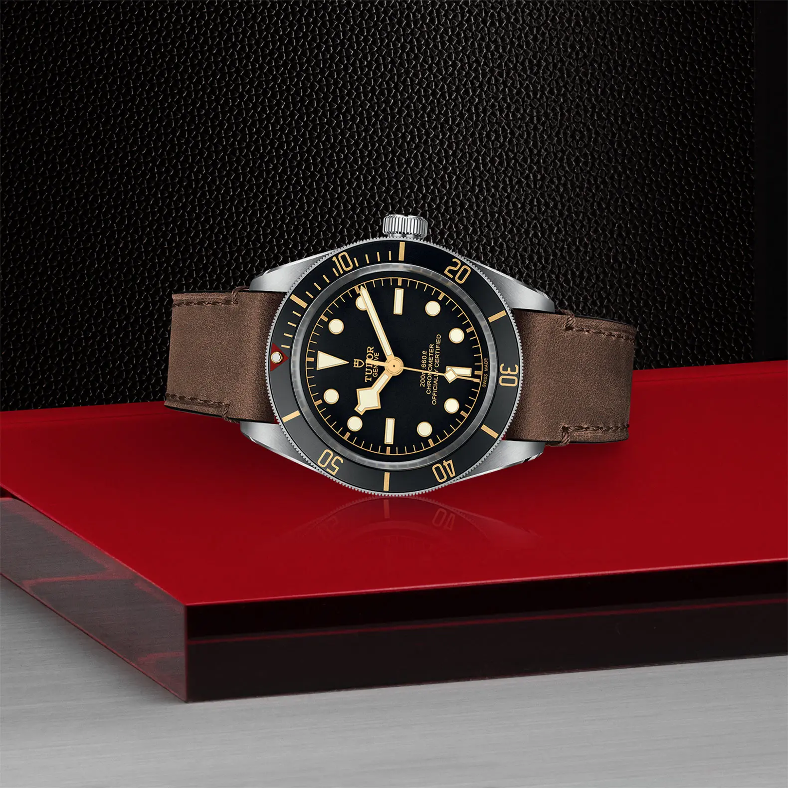 TUDORBlack Bay 58Black Bay 5839mm steel case with polished and satin finish - M79030N-0002 at Cortina Watch Thailand