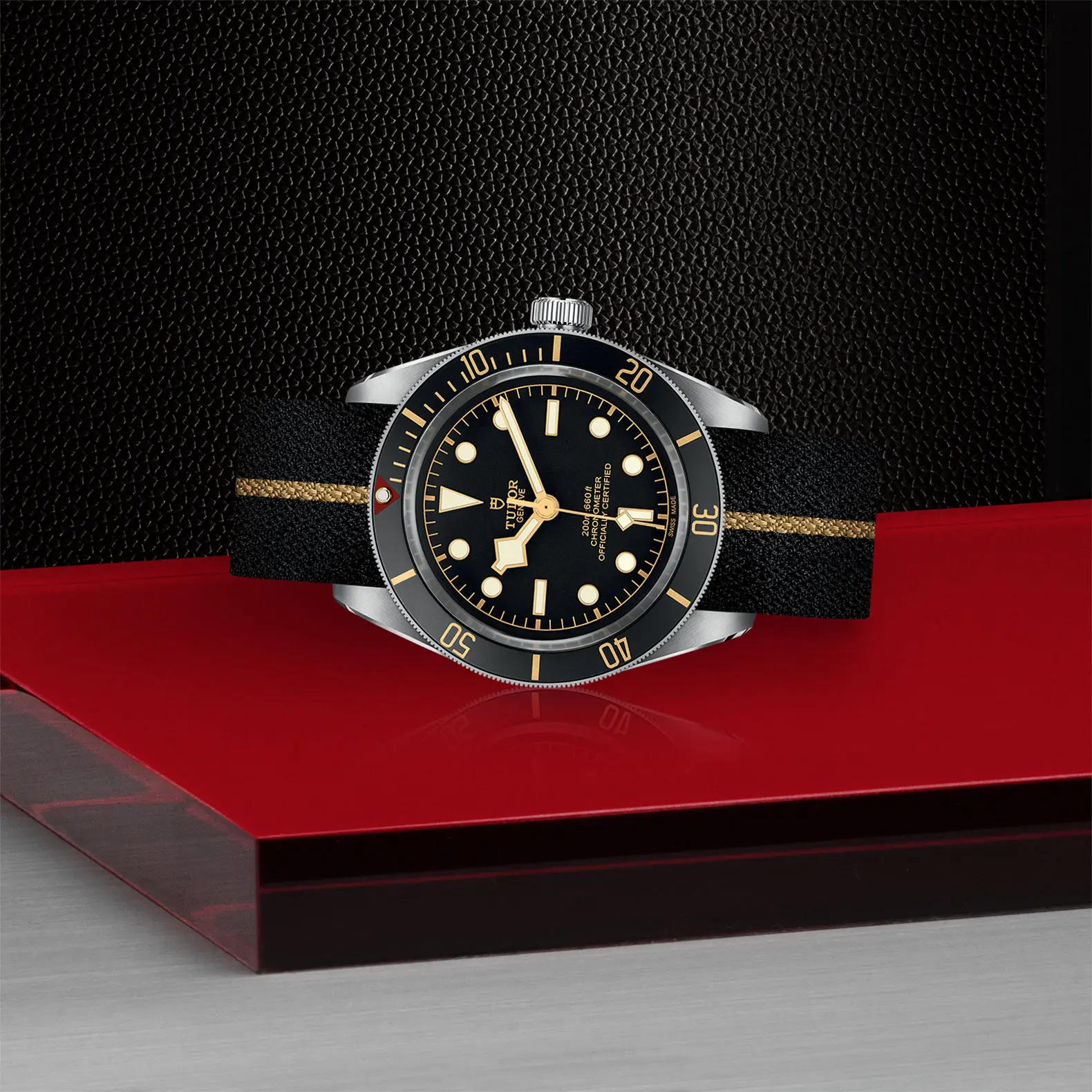 TUDORBlack Bay 58Black Bay 5839mm steel case with polished and satin finish - M79030N-0003 at Cortina Watch Thailand