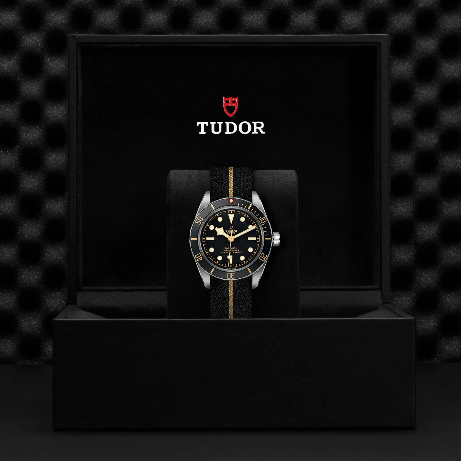 TUDORBlack Bay 58Black Bay 5839mm steel case with polished and satin finish - M79030N-0003 at Cortina Watch Thailand