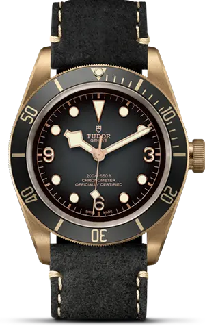 TUDORBlack Bay BronzeBlack Bay Bronze43mm bronze case with bronze-coloured PVD-treated steel case back and satin finish - M79250BA-0001 at Cortina Watch Thailand