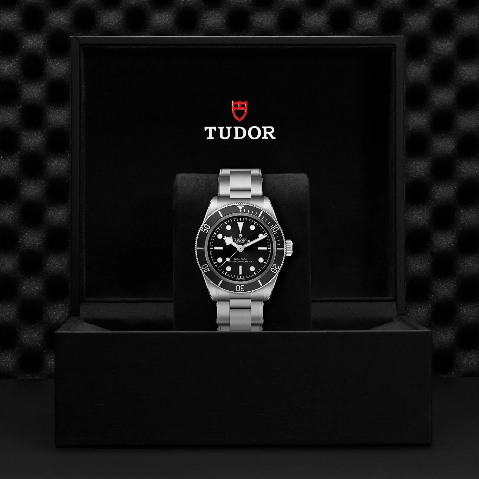 TUDORBlack BayBlack Bay41mm steel case with polished and satin finish - M7941A1A0NU-0001 at Cortina Watch Thailand