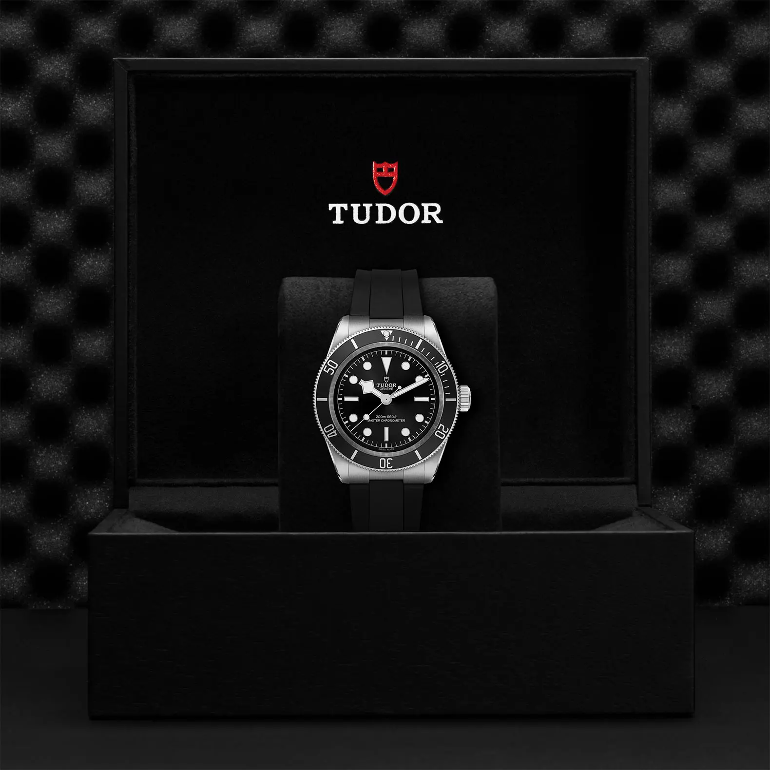 TUDORBlack BayBlack Bay41mm steel case with polished and satin finish - M7941A1A0NU-0002 at Cortina Watch Thailand