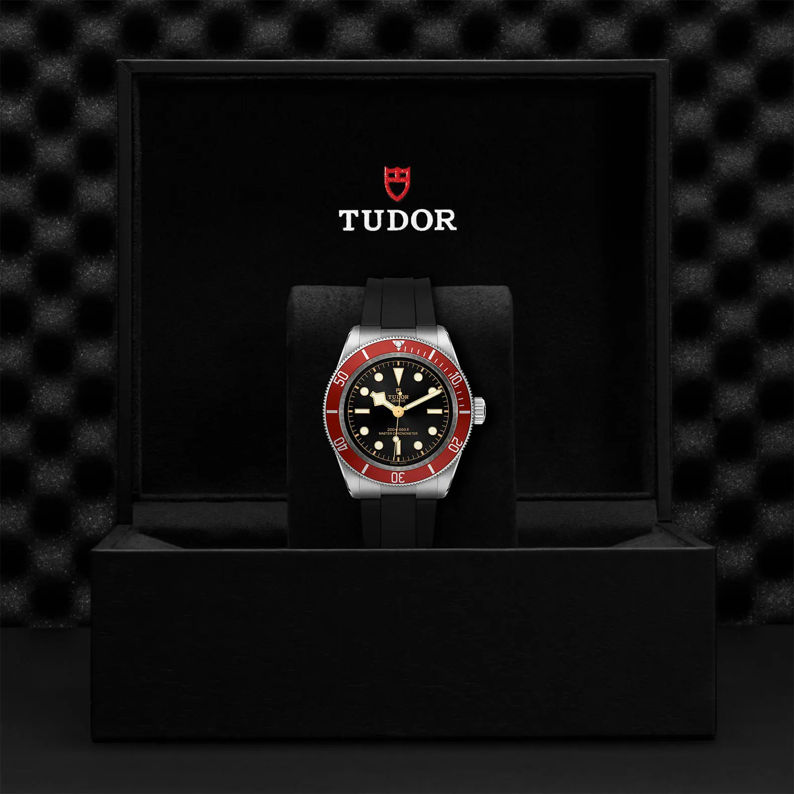 TUDORBlack BayBlack Bay41mm stainless steel case with polished and satin finish - M7941A1A0RU-0002 at Cortina Watch Thailand