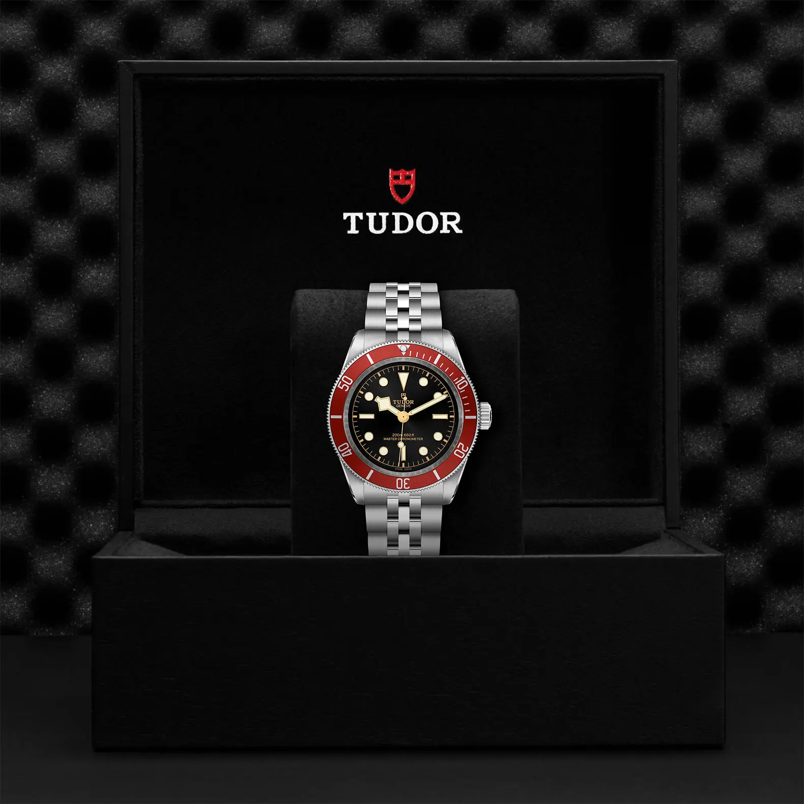 TUDORBlack BayBlack Bay41mm stainless steel case with polished and satin finish - M7941A1A0RU-0003 at Cortina Watch Thailand