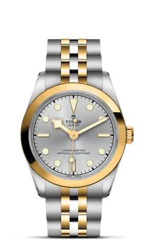 TUDORBlack Bay 31 S&GBlack Bay 31/36/39/4131mm 316L steel case with polished and satin finish - M79603-0002 at Cortina Watch Thailand