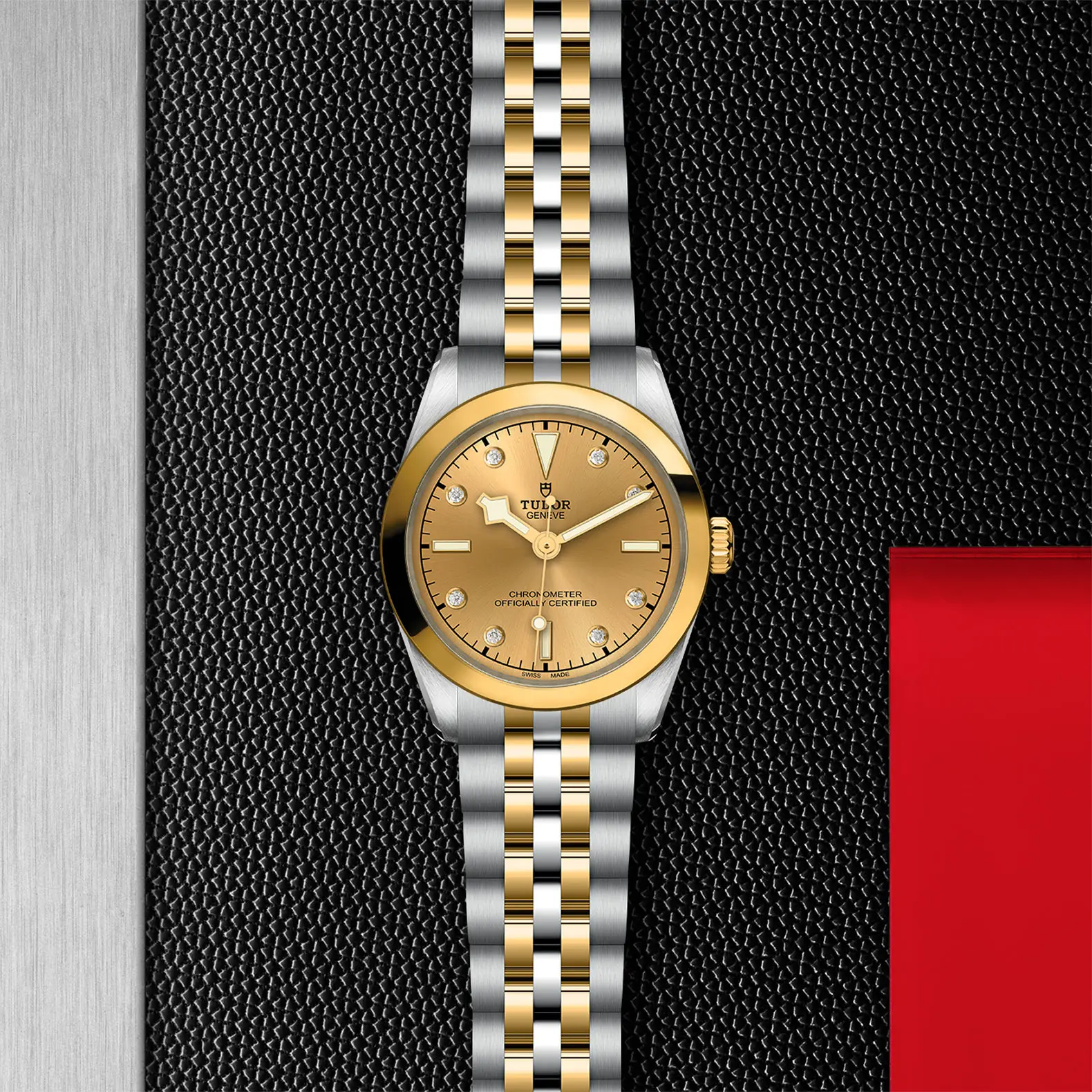 TUDORBlack Bay 31 S&GBlack Bay 31/36/39/4131mm 316L steel case with polished and satin finish - M79603-0008 at Cortina Watch Thailand