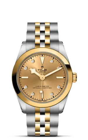 TUDORBlack Bay 31 S&GBlack Bay 31/36/39/4131mm 316L steel case with polished and satin finish - M79603-0008 at Cortina Watch Thailand