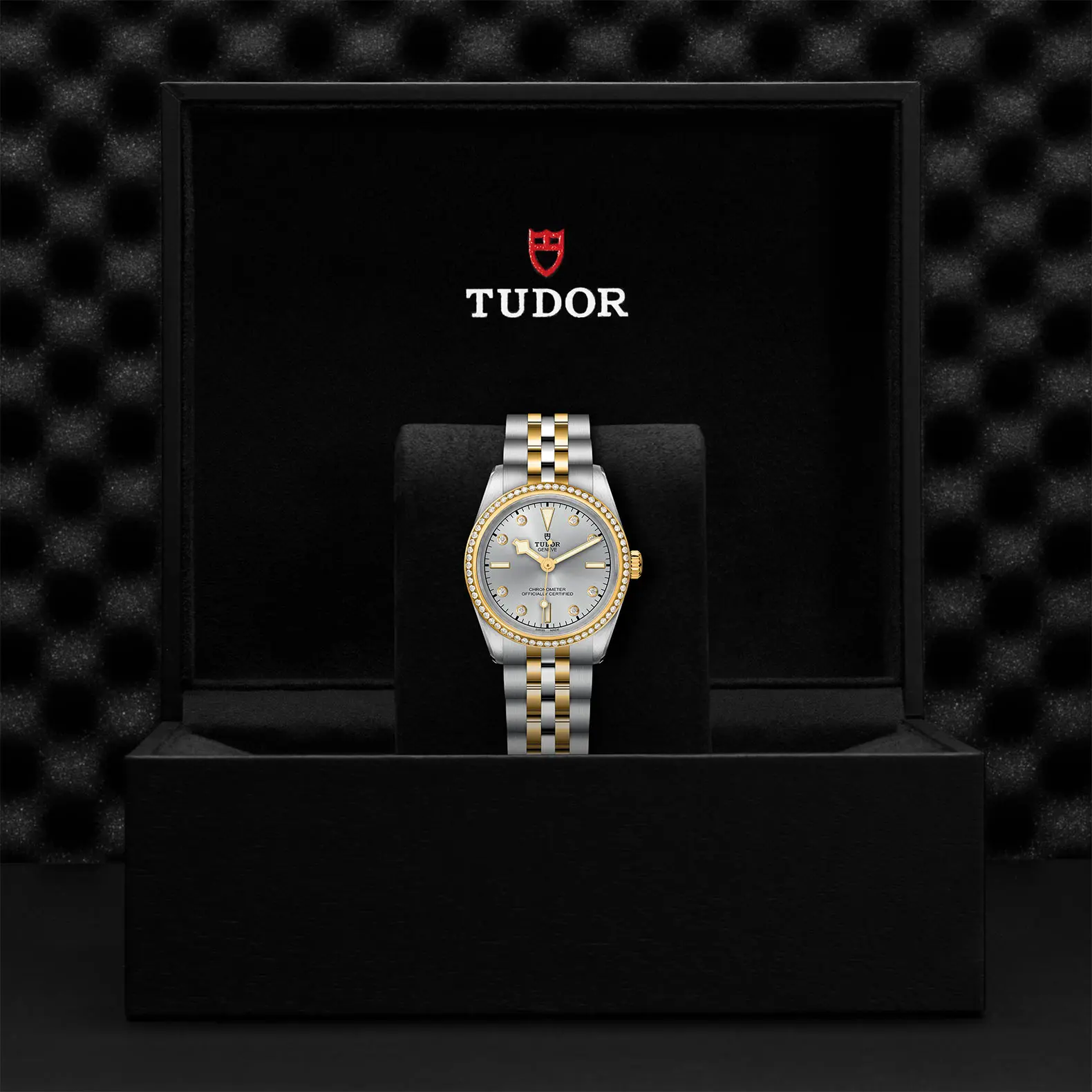 TUDORBlack Bay 31 S&GBlack Bay 31/36/39/4131mm 316L steel case with polished and satin finish - M79613-0006 at Cortina Watch Thailand