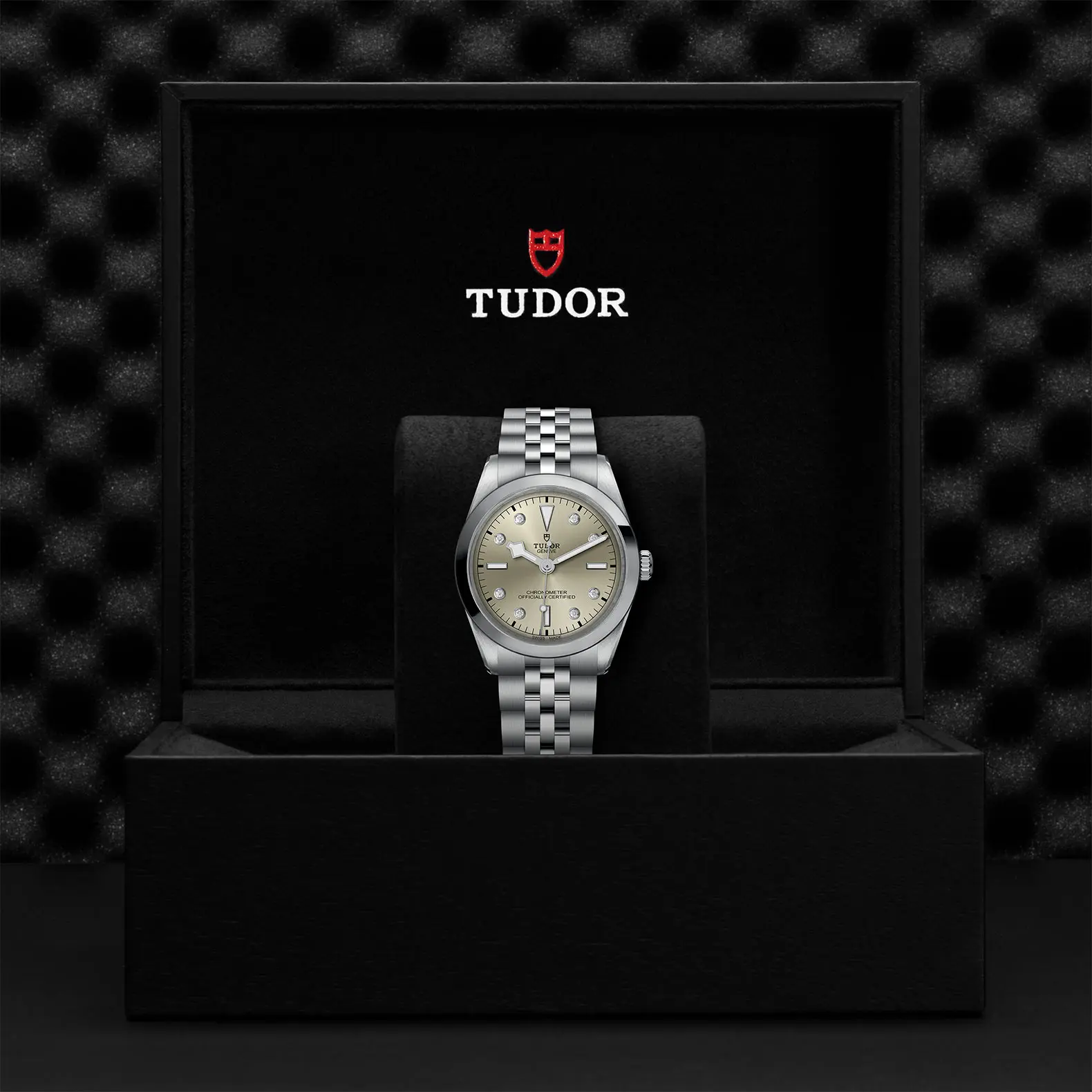 TUDORBlack Bay 36Black Bay 31/36/39/4136mm steel case with polished and satin finish - M79640-0006 at Cortina Watch Thailand