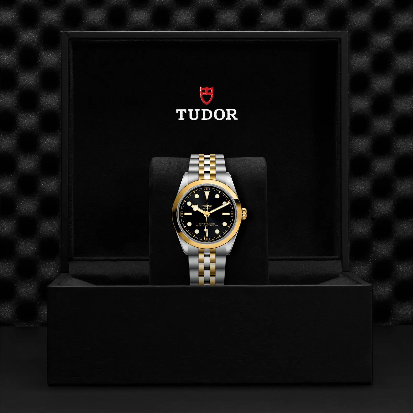 TUDORBlack Bay 36 S&GBlack Bay 31/36/39/4136mm steel case with polished and satin finish - M79643-0001 at Cortina Watch Thailand