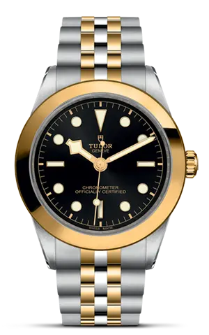 TUDORBlack Bay 39 S&GBlack Bay 31/36/39/4139mm steel case with polished and satin finish - M79663-0001 at Cortina Watch Thailand