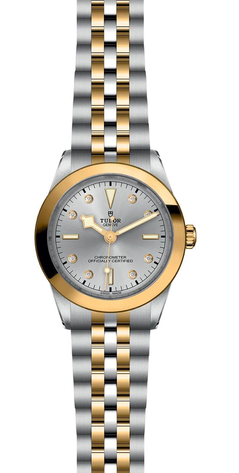 TUDORBlack Bay 39 S&GBlack Bay 31/36/39/4139mm steel case with polished and satin finish - M79663-0007 at Cortina Watch Thailand