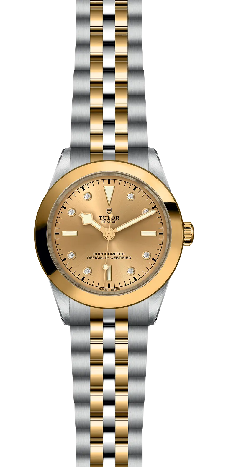 TUDORBlack Bay 39 S&GBlack Bay 31/36/39/4139mm steel case with polished and satin finish - M79663-0008 at Cortina Watch Thailand