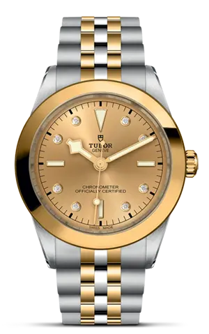 TUDORBlack Bay 39 S&GBlack Bay 31/36/39/4139mm steel case with polished and satin finish - M79663-0008 at Cortina Watch Thailand