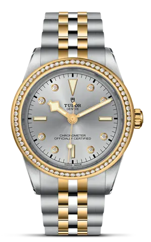 TUDORBlack Bay 39 S&GBlack Bay 31/36/39/4139mm steel case with polished and satin finish - M79673-0006 at Cortina Watch Thailand