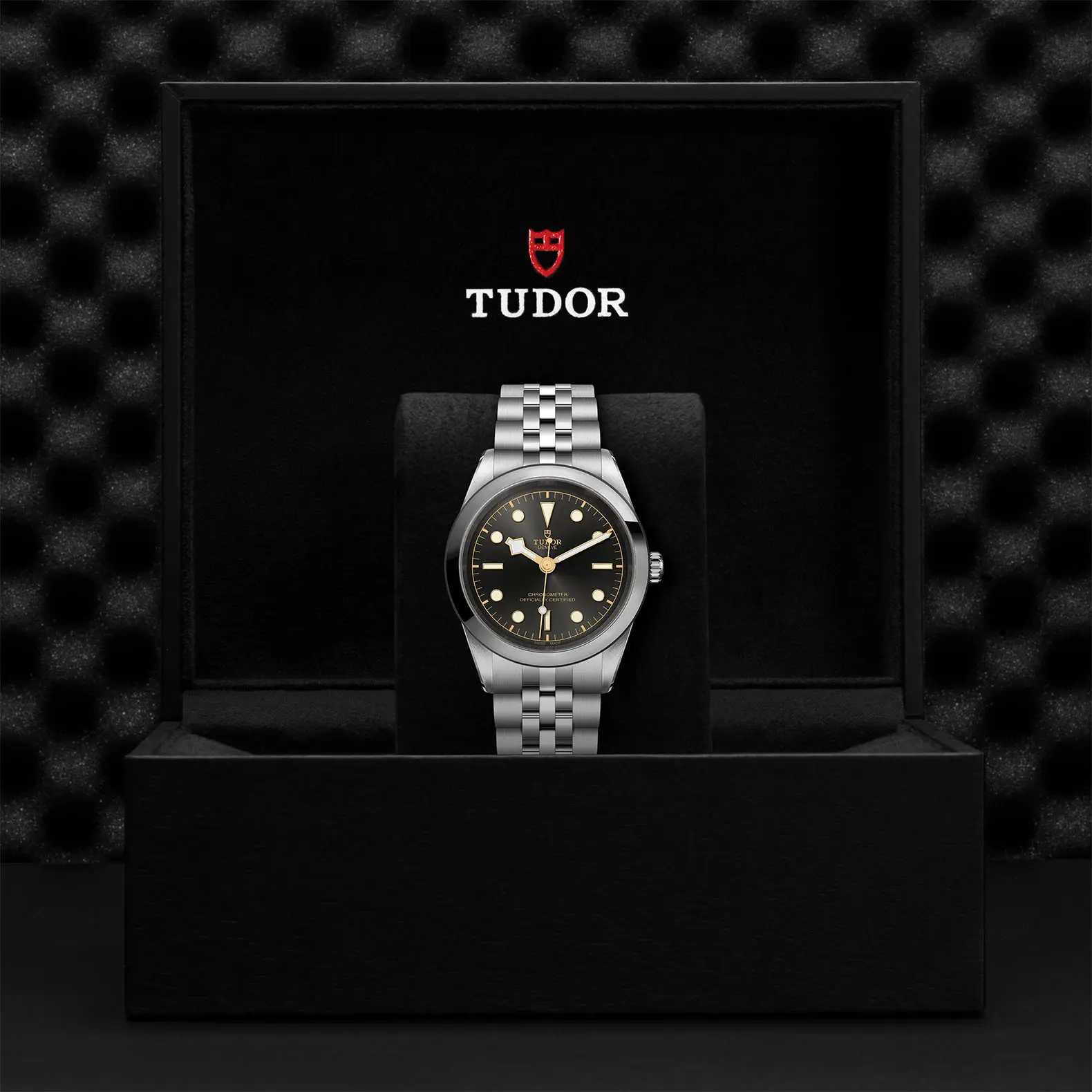 TUDORBlack Bay One 41Black Bay One41mm steel case with polished and satin finish - M79680-0001 at Cortina Watch Thailand