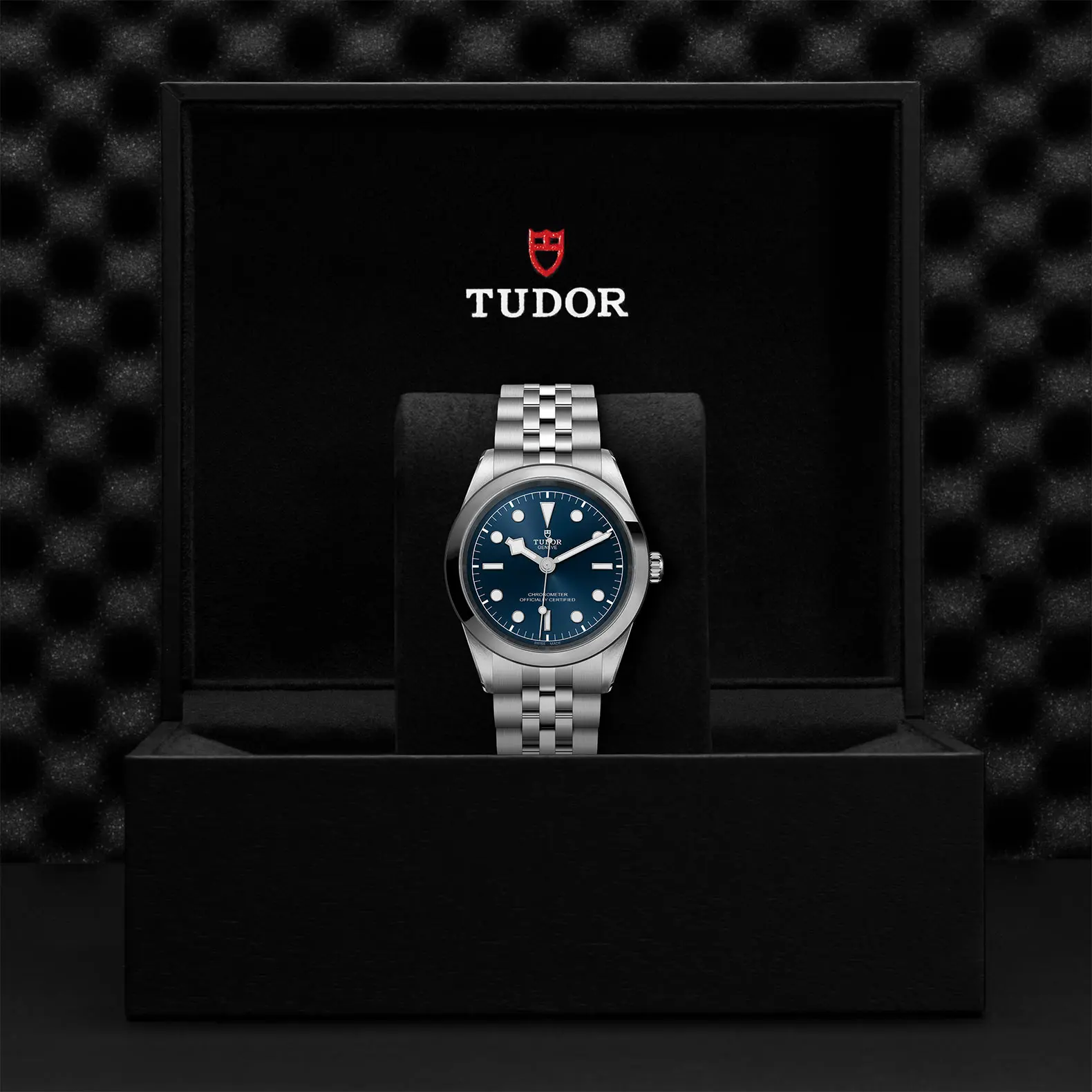 TUDORBlack Bay 41Black Bay 31/36/39/4141mm steel case with polished and satin finish - M79680-0002 at Cortina Watch Thailand