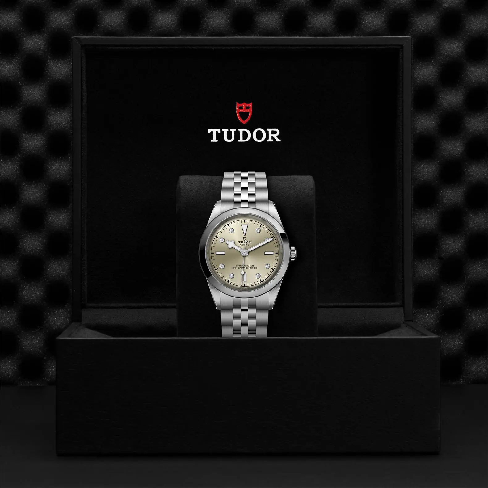 TUDORBlack Bay 41Black Bay 31/36/39/4141mm steel case with polished and satin finish - M79680-0006 at Cortina Watch Thailand