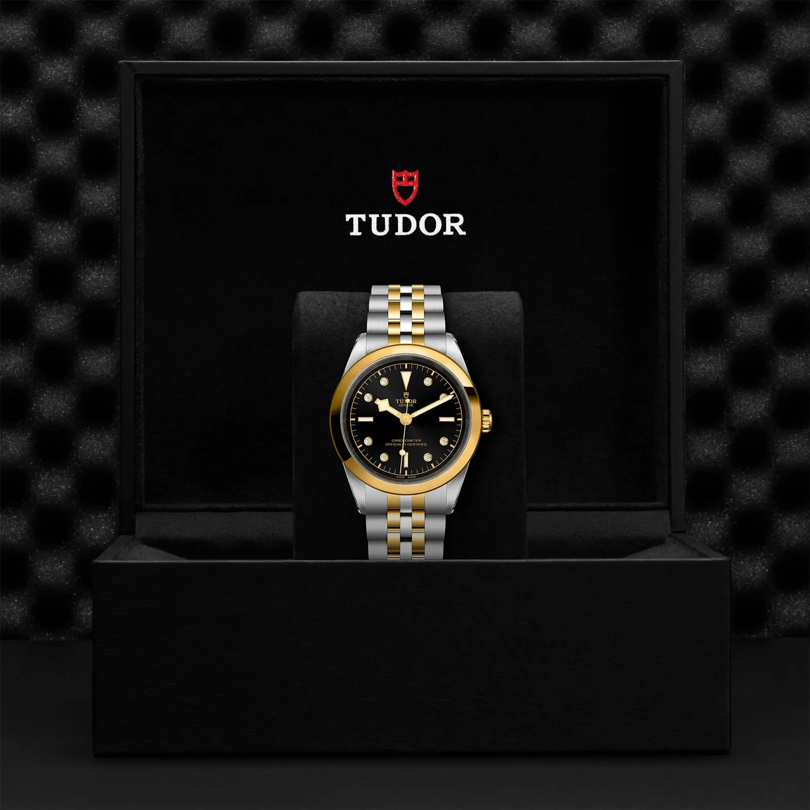 TUDORBlack Bay 41 S&GBlack Bay 31/36/39/4141mm steel case with polished and satin finish - M79683-0006 at Cortina Watch Thailand