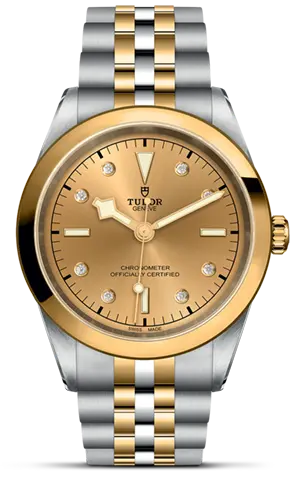 TUDORBlack Bay 41 S&GBlack Bay 31/36/39/4141mm steel case with polished and satin finish - M79683-0008 at Cortina Watch Thailand