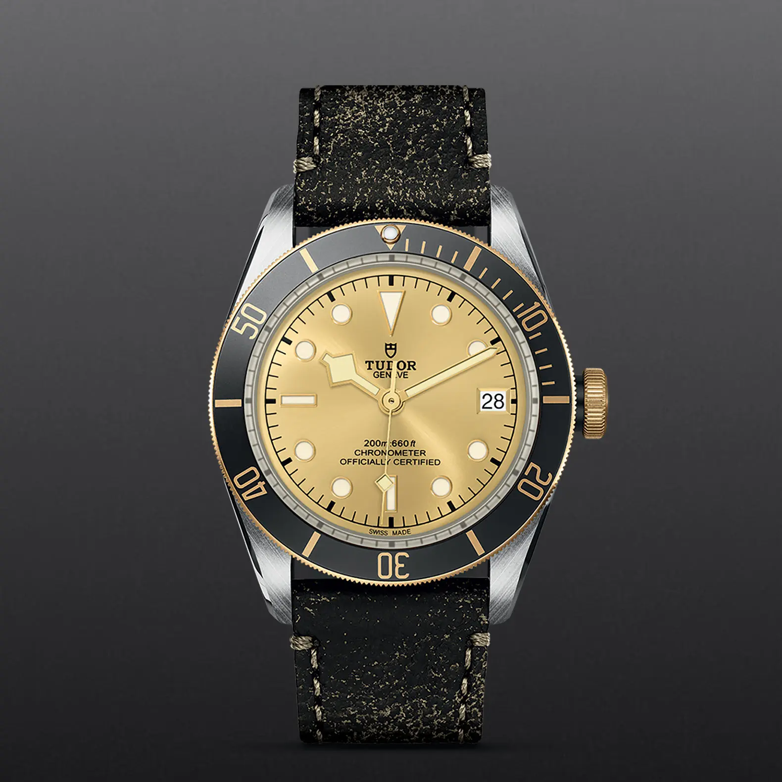 TUDORBlack Bay S&GBlack Bay41mm steel case with polished and satin finish - M79733N-0003 at Cortina Watch Thailand