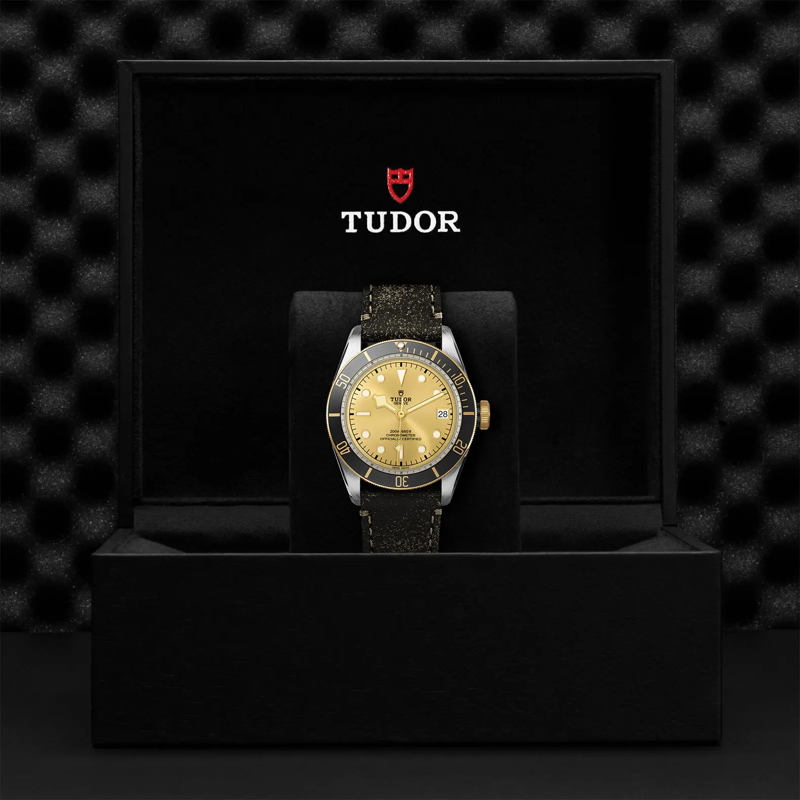 TUDORBlack Bay S&GBlack Bay41mm steel case with polished and satin finish - M79733N-0003 at Cortina Watch Thailand