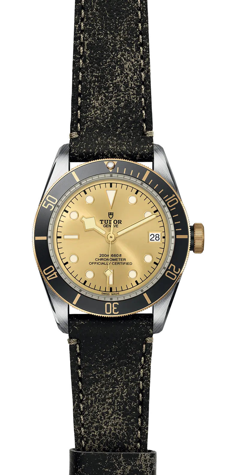 TUDORBlack Bay S&GBlack Bay41mm steel case with polished and satin finish - M79733N-0003 at Cortina Watch Thailand