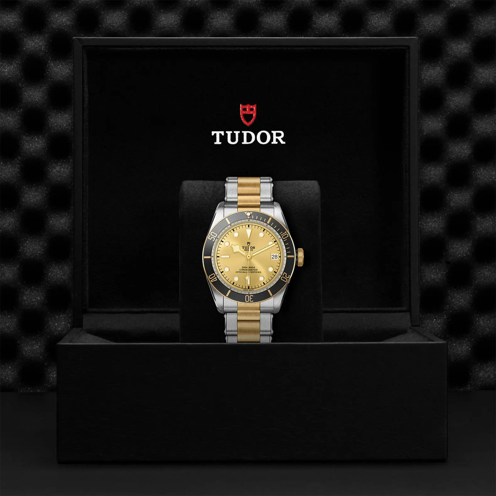 TUDORBlack Bay S&GBlack Bay41mm steel case with polished and satin finish - M79733N-0004 at Cortina Watch Thailand