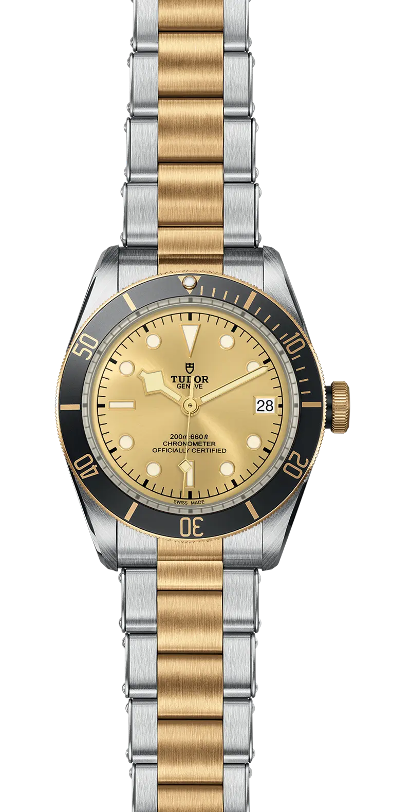 TUDORBlack Bay S&GBlack Bay41mm steel case with polished and satin finish - M79733N-0004 at Cortina Watch Thailand