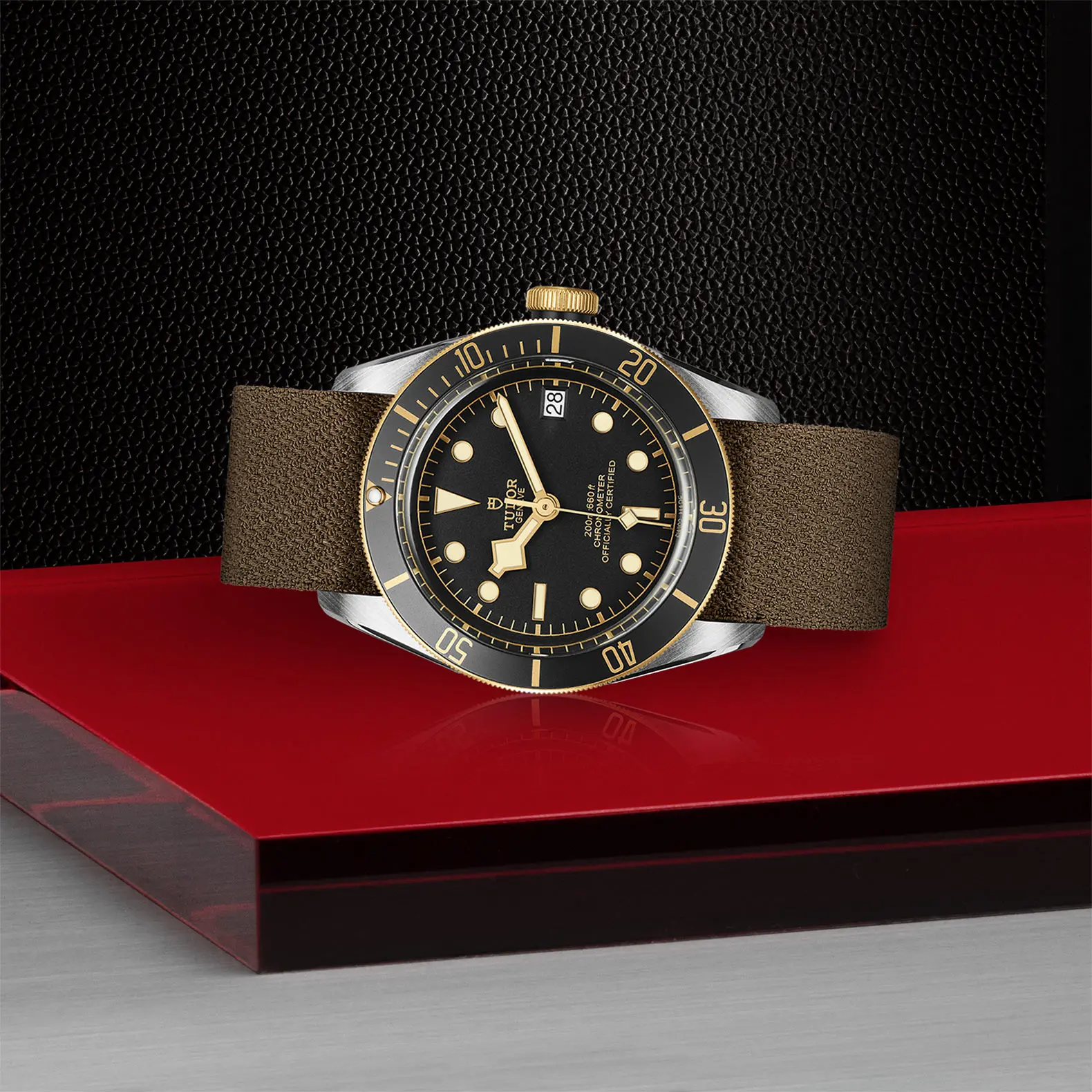 TUDORBlack Bay S&GBlack Bay41mm steel case with polished and satin finish - M79733N-0005 at Cortina Watch Thailand