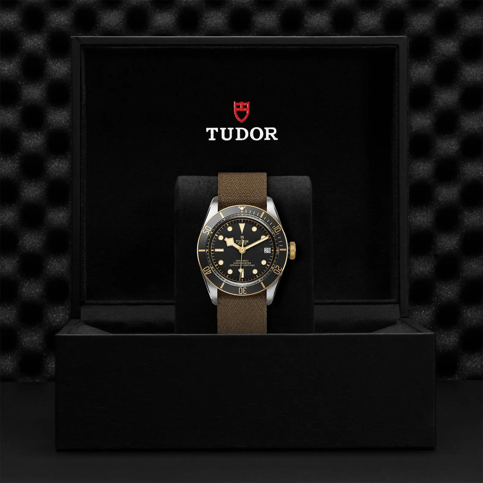 TUDORBlack Bay S&GBlack Bay41mm steel case with polished and satin finish - M79733N-0005 at Cortina Watch Thailand