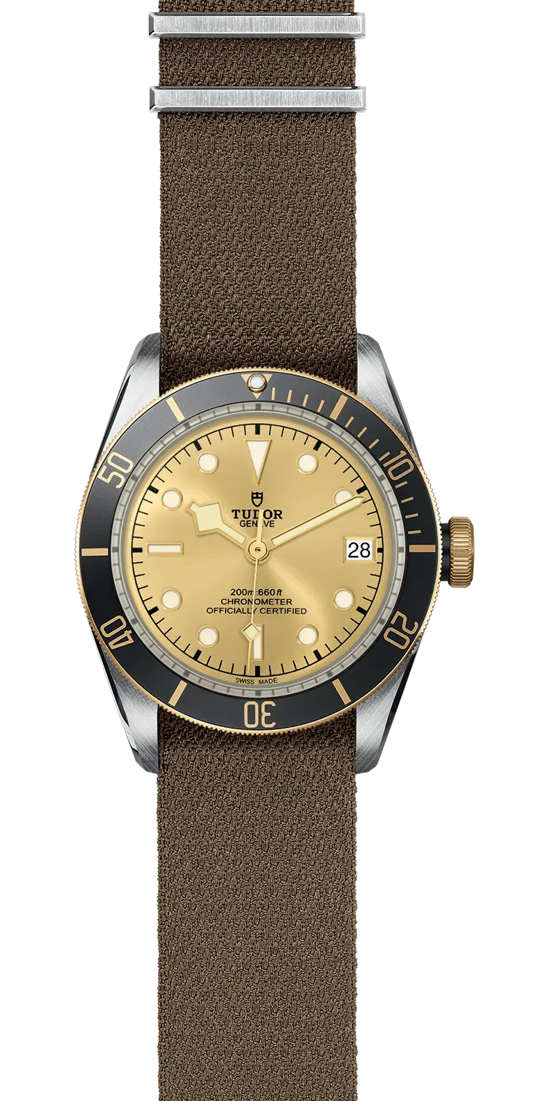 TUDORBlack Bay S&GBlack Bay41mm steel case with polished and satin finish - M79733N-0006 at Cortina Watch Thailand
