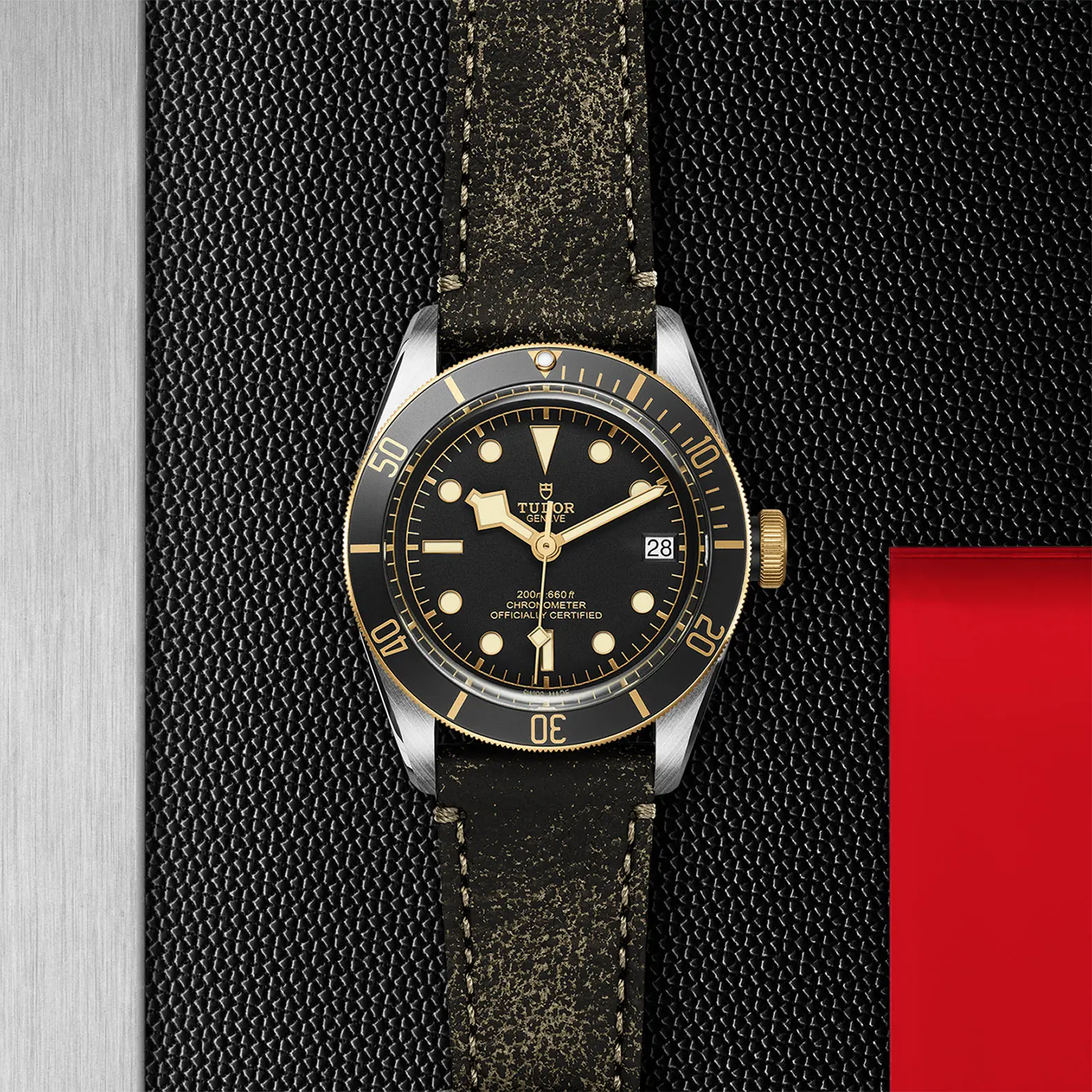 TUDORBlack Bay S&GBlack Bay41mm steel case with polished and satin finish - M79733N-0007 at Cortina Watch Thailand
