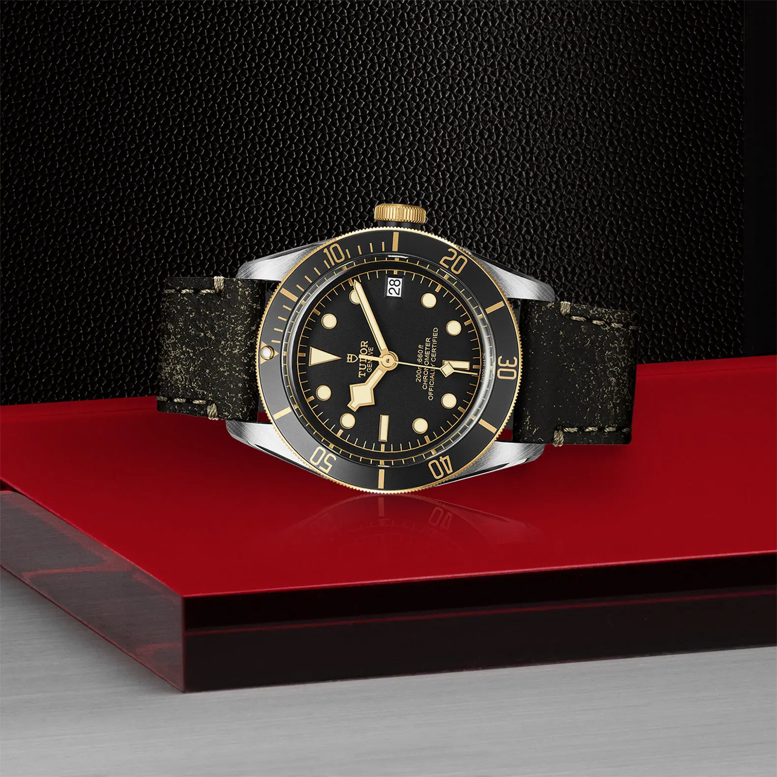 TUDORBlack Bay S&GBlack Bay41mm steel case with polished and satin finish - M79733N-0007 at Cortina Watch Thailand