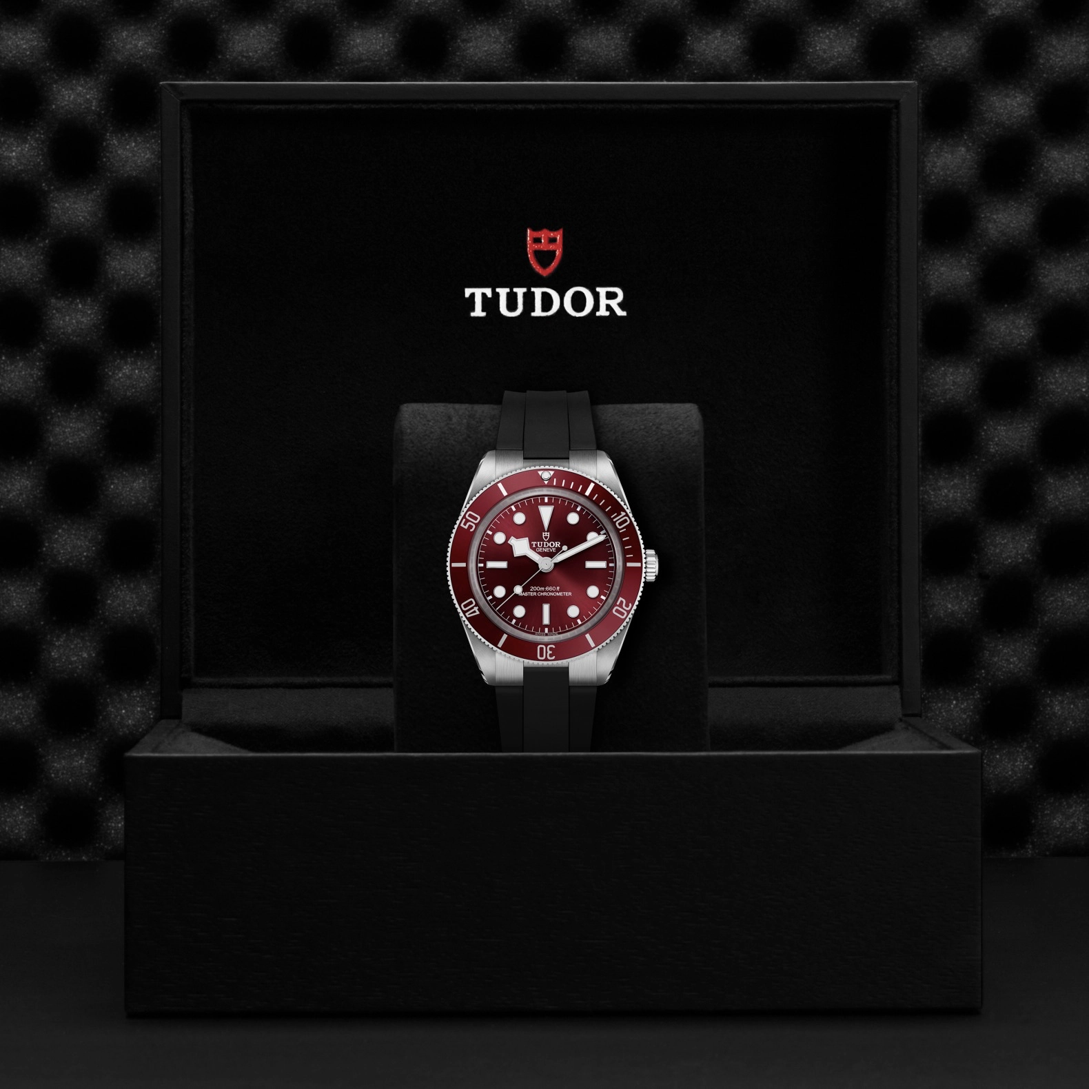TUDORBlack Bay 58Black Bay 5839mm stainless steel case with polished and satin finishes - M7939A1A0RU-0003 at Cortina Watch Thailand
