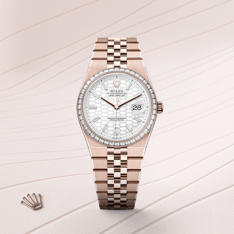 rolex land-dweller in 18-ct-everose-gold, m127285tbr-0002 - cortina watch