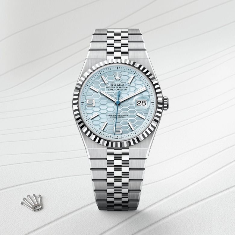 rolex land-dweller in platinum, m127336-0001 - cortina watch