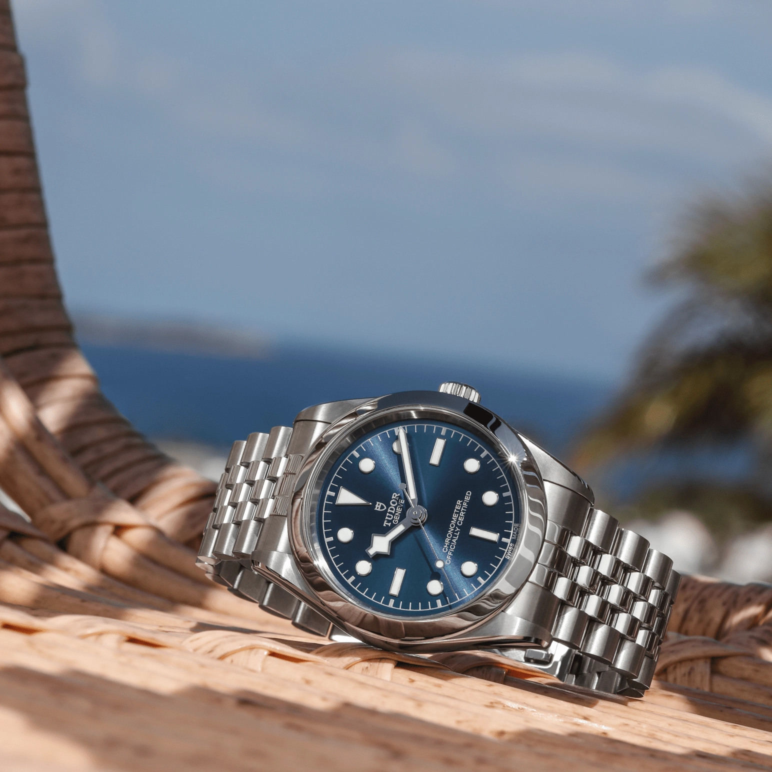 TUDORBlack Bay One 39Black Bay One39mm stainless steel case with polished and satin finish - M79660-0002 at Cortina Watch Thailand