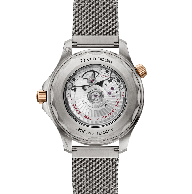 DIVER 300M - Cortina Watch Taiwan