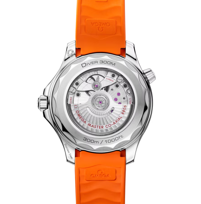 DIVER 300M - Cortina Watch Taiwan