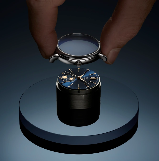 Portofino Automatic Day & Night 34 Le Petit Prince - Cortina Watch Taiwan