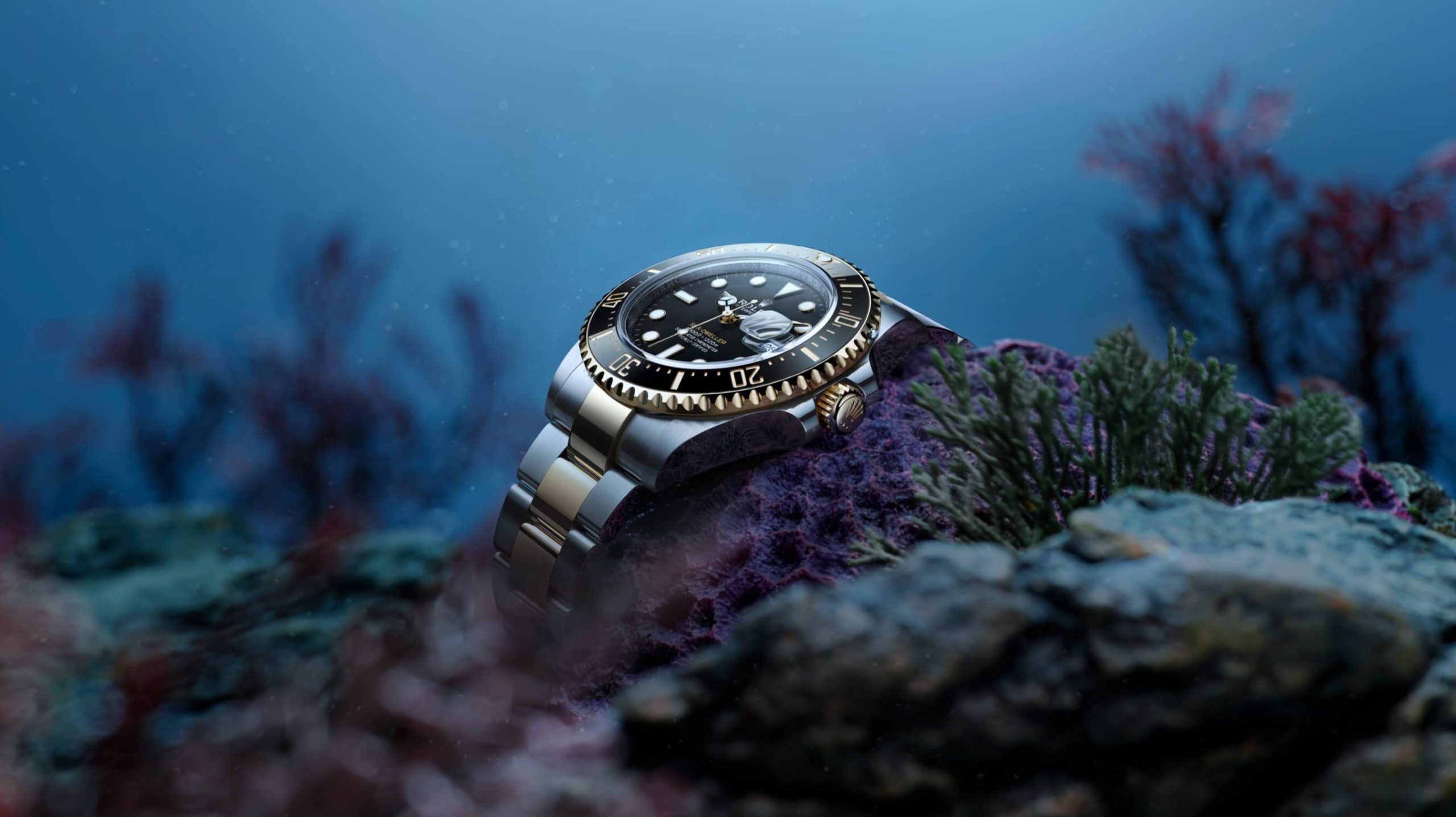 Rolex Sea Dweller M126603 0001 Cortina Watch Featured Image Scaled