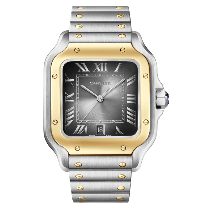 Cartier_Santos de Cartier_W2SA0030_Cortina Watch (bracelet)