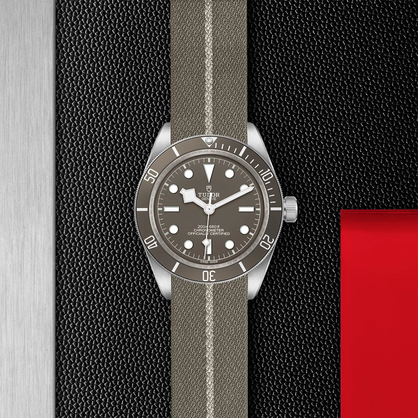 TUDORBlack Bay 58 925Black Bay 5839mm 925 silver case, satin finished Open case back with sapphire crystal - M79010SG-0002 at Cortina Watch Singapore