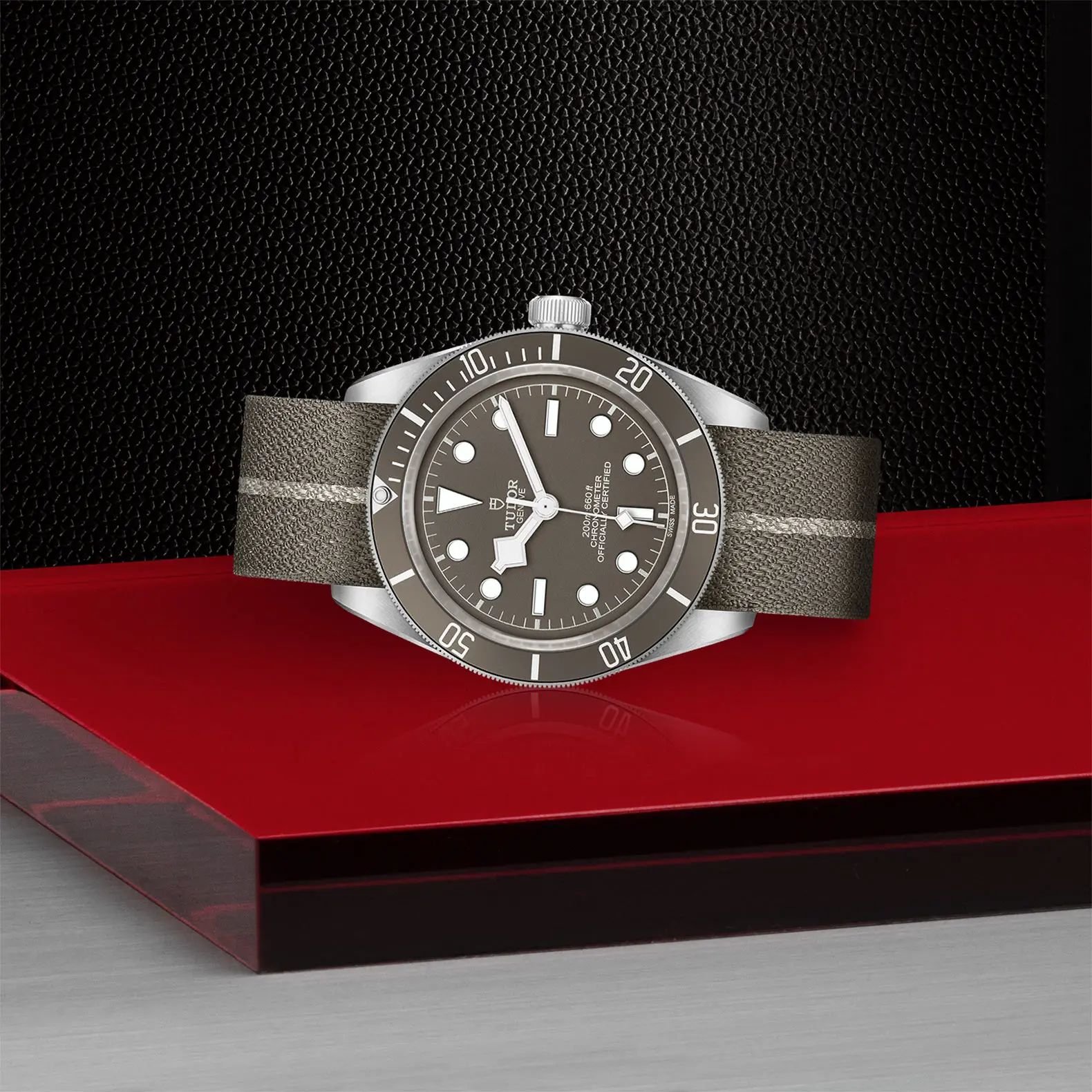TUDORBlack Bay 58 925Black Bay 5839mm 925 silver case, satin finished Open case back with sapphire crystal - M79010SG-0002 at Cortina Watch Singapore