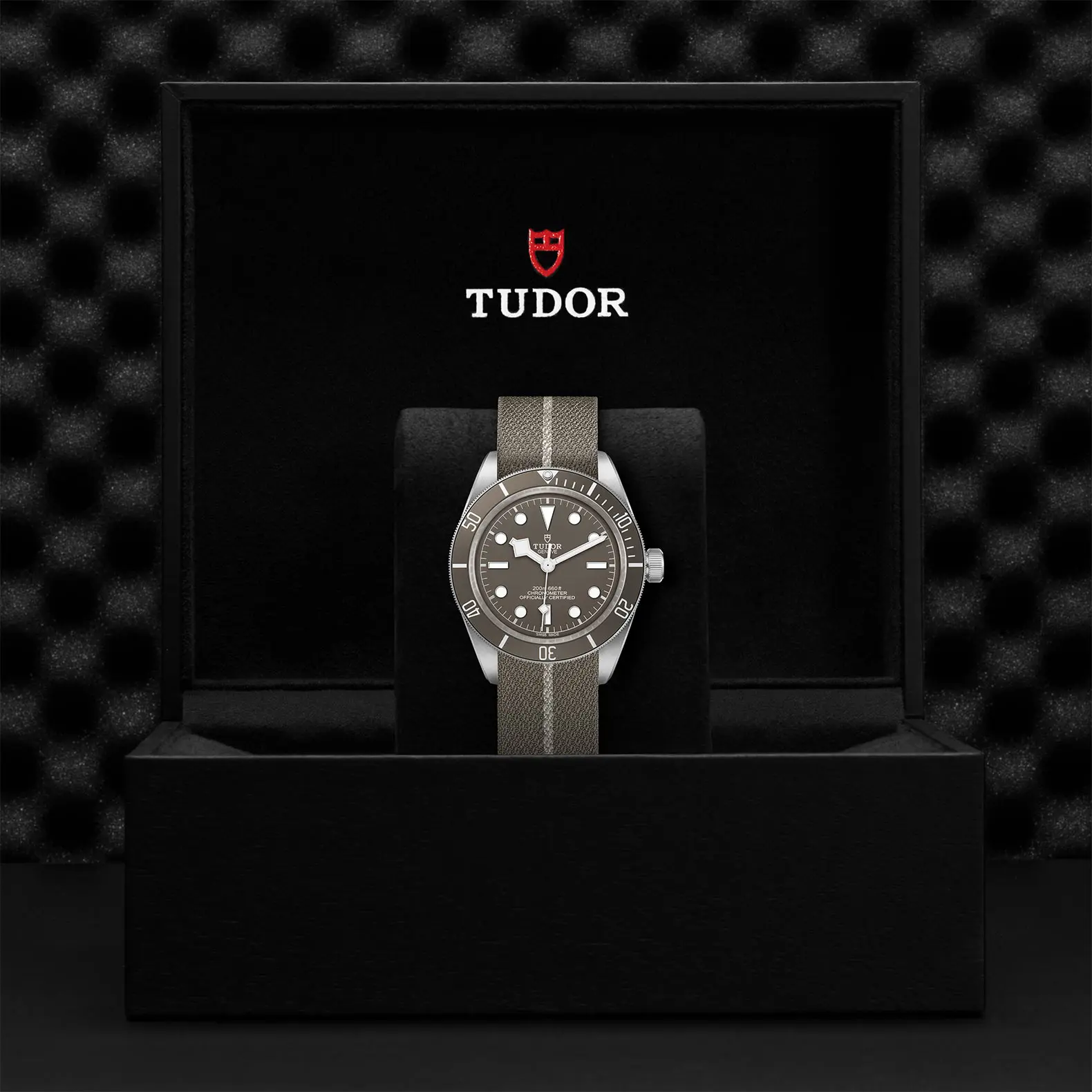 TUDORBlack Bay 58 925Black Bay 5839mm 925 silver case, satin finished Open case back with sapphire crystal - M79010SG-0002 at Cortina Watch Singapore