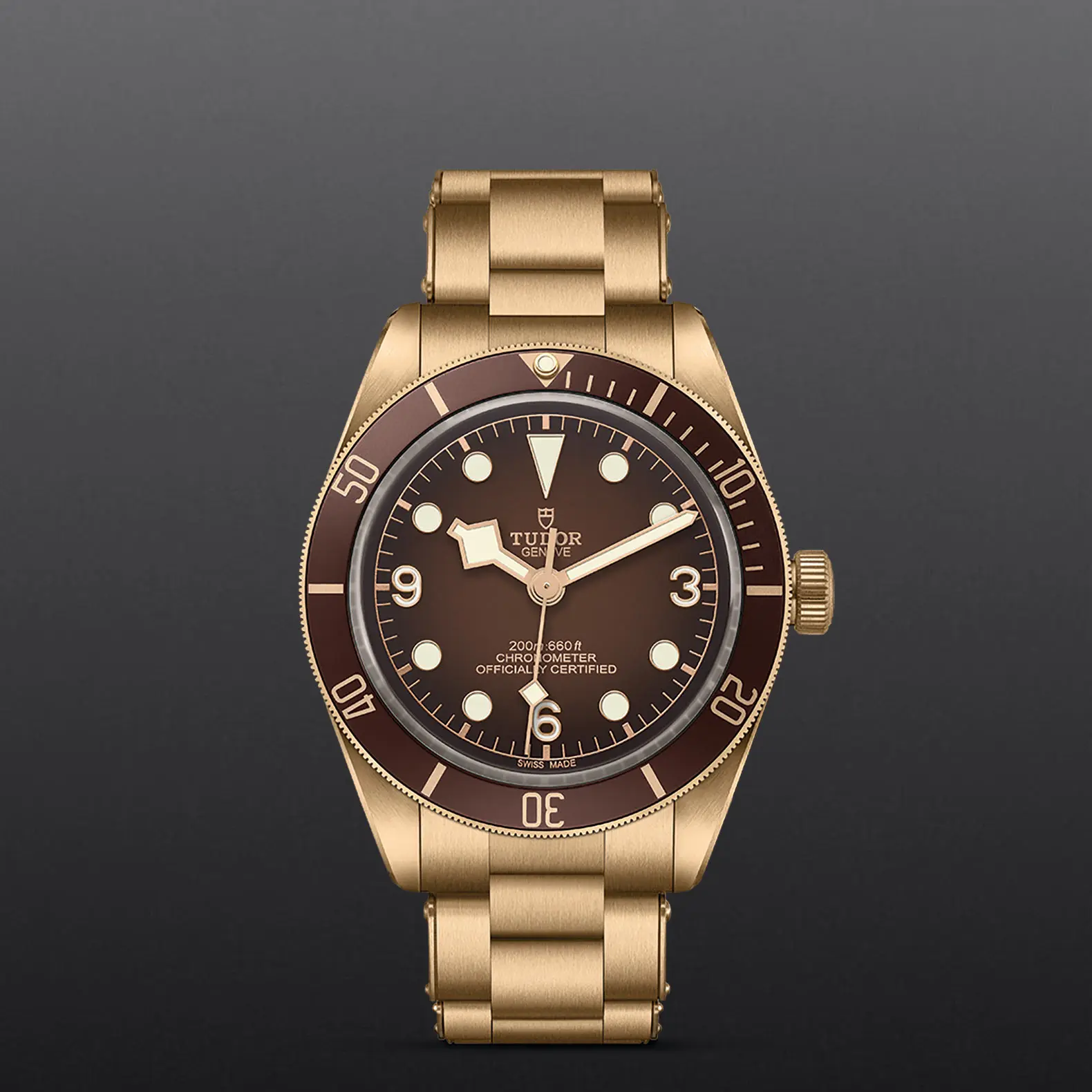 TUDORBlack Bay 58 Bronze "Boutique Edition"Black Bay 5839mm satin-brushed bronze case whose colour evolves to match its user’s habits - M79012M-0001 at Cortina Watch Singapore