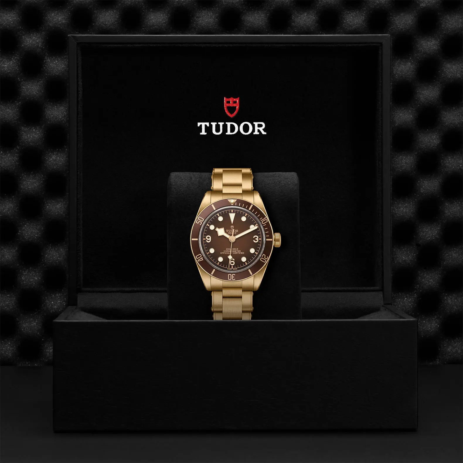 TUDORBlack Bay 58 Bronze "Boutique Edition"Black Bay 5839mm satin-brushed bronze case whose colour evolves to match its user’s habits - M79012M-0001 at Cortina Watch Singapore