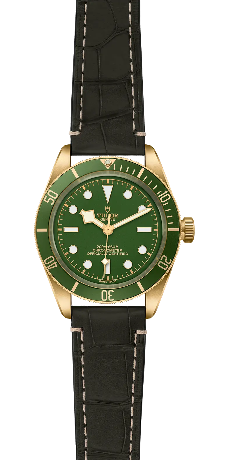 TUDORBlack Bay 58 18KBlack Bay 5839mm case, satin finished, in 18 ct yellow gold Open case back with sapphire crystal - M79018V-0001 at Cortina Watch Singapore